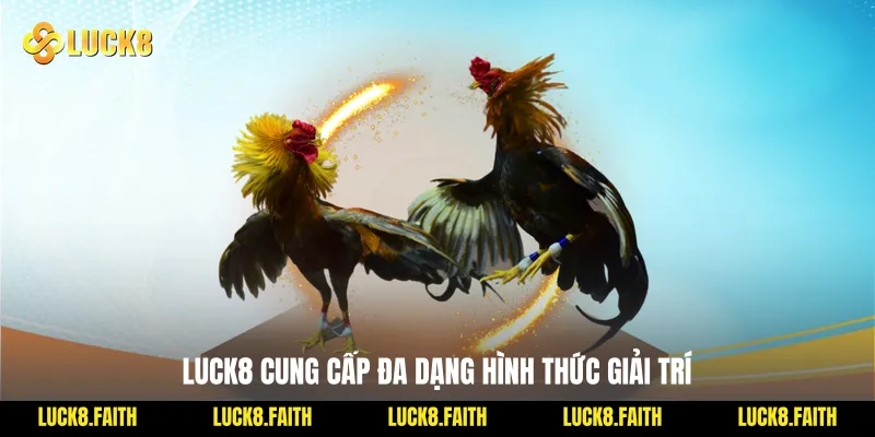 Luck8 cung cấp đa dạng hình thức giải trí